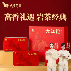 BAMA TEA | Gift Suitable Wuyi Rock Tea 160g