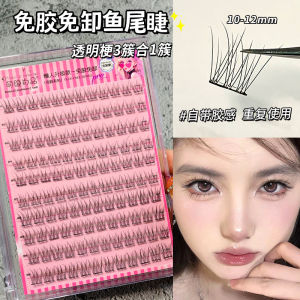 Natural Looking Fish Tail False Eyelashes for Women Single Cluster Segmented Design Easy to Apply Fake Lashes by Jiu Qi