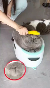 Professional SelfCleaning Pet Grooming Brush for Cats Dogs with SkinFriendly Massage Needles OneClick Hair Removal Button for Shedding