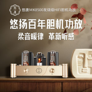 Youtang Mk8500 Tube Amplifier Class a Fancier Grade Power Amplifier HiFi Fever Electronic Tube Single-End Pure Tube Amplifier Audio