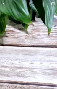 Csndice Kids T-shirt Atasan Baju Kaos Anak Laki Laki Perempuan Lengan Pendek Distro Keren Premium Putih Hitam Merah(6-13 THN) K162