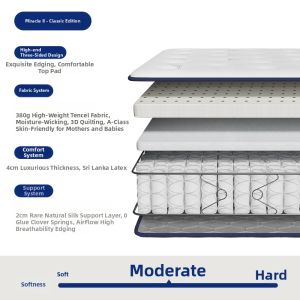 SESSILE | Firm Coconut Palm Independent Spring Latex Mattress