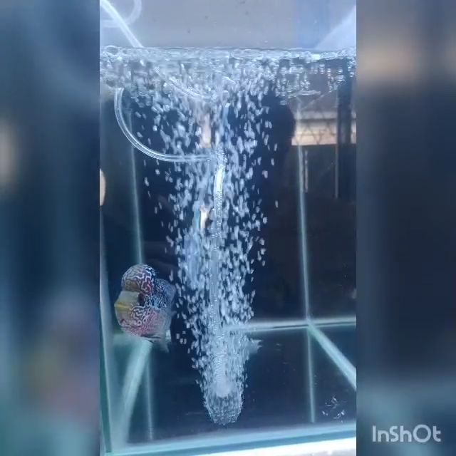 Petsto Portable Mini USB Aquarium Fish Tank Oxygen Air Pump Mute Super