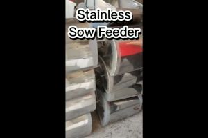 Viddavet Stainless Sow Feeder with 2 pcs galvanize doorlock Sow feeder stainless for pig stainless sow feeder sow feeder