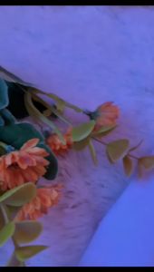 Kemerdekaan Indonesia 79 Merah putih Catton Combed Cowok cewek aynakids size s m l xl xxl 3xl 4xl 5xl warna merah putih