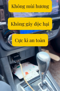 HUST MEN - Túi khử mùi làm khô trong xe ô tô Zeoli | Hoạ tiết xương rồng | Không mùi hương