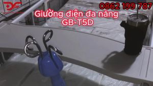 Giường bệnh điện cơ 10 chức năng GB-T5E (GB-T5D)