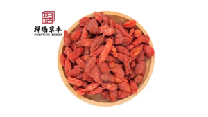 Fortune Herbs A级枸杞  (500g)  Goji Berry 宁夏枸杞 Wolfberry 养生食材 养肝明目