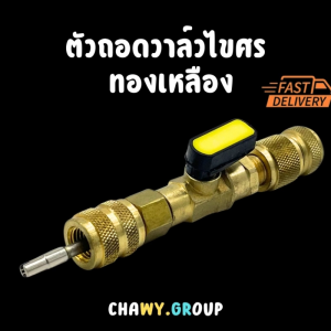 ตัวถอดไส้ศรทองเหลือง (แกนยาว) แบบมีวาล์วปิด-เปิด