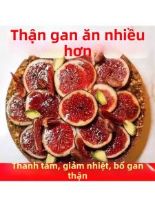 Cây Sung Khô Giúp Sức Khỏe Ở Lại Muộn