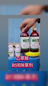 💗🙋‍♀️💗氯氟吡氧乙酸2甲四氯双氟小麦田阔叶杂草水花生除草剂新科麦霸批