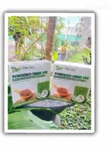 DEE-TOX Powdered Drink Mix with PSYLLUM HUSK Powder [GUYABANO Flavor] Bro. Joes 10 Sachets/Box
