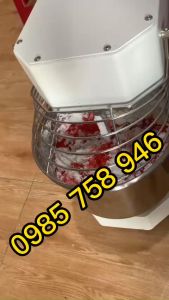 Máy trộn bột  đảo nhân càng soắn . Máy nhồi bột chuyên dụng 10L
