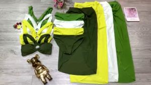 Đồ bơi nữ bikini 2 mảnh kèm chân váy Freesize Bin Sports BHV154