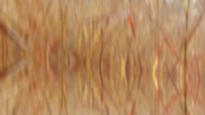 Thuốc trừ cỏ BÒ TÓT 200SL thế hệ mới (900ml) - Cỏ cháy lưu dẫn mạnh.