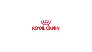 Royal Canin Hạt Urinary S/O  FREE SHIP  Dành cho Mèo mắc tiết niệu