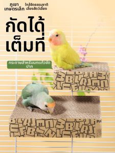 XIAONONGSHAN | Biting Toy for Birds Entertaining Beak Sharpening Bird Cage Decoration