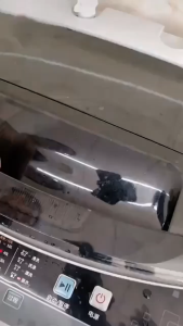 GP Mall - Kantong Filter Mesin Cuci LAUNDRY BAG MESH Alat Penyaring Kotoran Saringan Rambut Bulu Bentuk Bunga