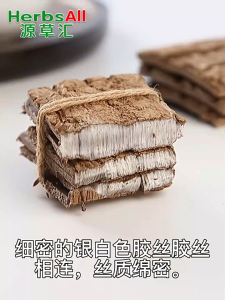 杜仲片补腰精首选 Eucommia Ulmoides 深山老树超厚 500g 天然无硫 Eucommia Bark 改善腰酸 关节养护 中药滋补