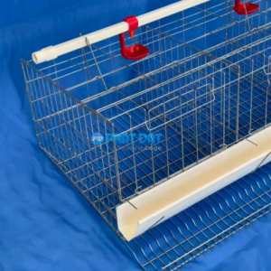 LỒNG NUÔI GÀ ĐẺ TRỨNG GIA ĐÌNH (KẼM MẠ 3LI 3 NGĂN)