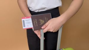 ซองใส่พาสปอร์ต ปกหนังสือเดินทาง ปกใส ขุ่น ซูปเปอร์เคลีย ปกป้องหนังสือเดินทาง