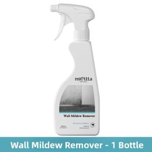 Mold Removal Spray for Walls