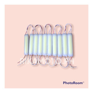 MODULE LED LIGHT WHITE COLOR RECTANGULAR SHAPE 30 PESOS EACH