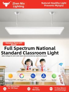 ZHENNIU | Eye Protection Reading Lamp for Studying