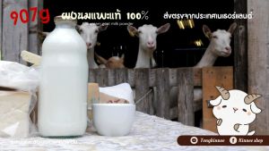 นมแพะผง 100% ฟู้ดเกรด Full cream Goat whole milk powder 100% Food grade from Netherland ไม่ผสมแป้ง ไม่ใส่น้ำตาล
