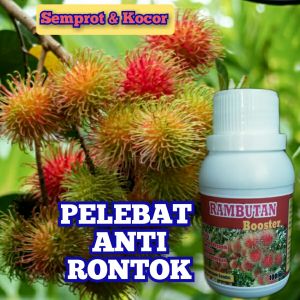 Pupuk Booster Rambutan Organik Perangsang Terbaik Ampuh Supaya Cepat Berbuah