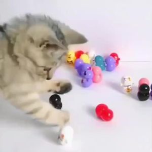 10pcs Cat Rolling Toy for Indoor Use. Self-rolling Cat Toy. No Batteries Required. Random Designs. Lightweight Cat Puzzle Toy.