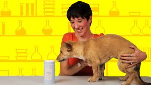 PLAYPETS DRY SHAMPOO 150G