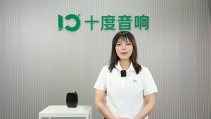 SHIDU Mini Lapel Microphone Portable Voice Amplifier Megaphone Booster with UHF Microphone Loudspeaker Speaker