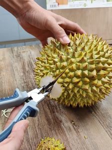 Tang Pengupas Durian Stainless Alat Pembuka Durian Anti Karat Tang Durian Untuk Digunakan Keluarga