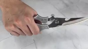 Kitchen Scissors Japan Made Heavy Duty Stainless Steel Multipurpose Chicken Bone Scissors Sharp for Meat Scrape Fish Scales Food Scissors Chicken Bone Remover Cutter Pliers Poultry Vegatables Chef High Quality Set Shear Classic Food Scissors