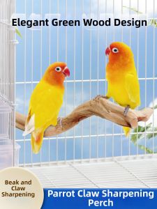 VOA | Bird Cage Decor Toy with Perch Swing Scratch Function