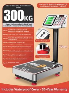 High Precision Digital Scale