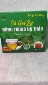 Hộp 40 gói trà cà gai leo đông trùng hạ thảo Bảo Khang thanh nhiệt mát gan giải độc gan