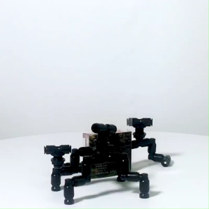 Mius Little Bone Series Mist Nozzle Sprinkler Rainforest Aquarium System