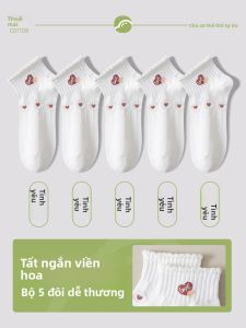 JINGCHI | Vớ Bông Mùa Hè Dễ Thương