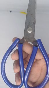 {\n    \"article\": \" Gunting Kodok 8.5\\\" (8.5 INCH) for Potong Seng / Kain Serbaguna