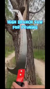 High-branch Saw Pole Saw for Tree Trimming Telescoping Garden Saw High AltitudeBranch Pruning Saw Hand  Tools Large Table Saw - Lazada