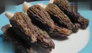 VIGOROUS MOUNTAINS Dried Morel Mushrooms (1)