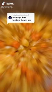 FINNA BUMBU MASAK KARE PACK 12 PCS 50 GRAM FUN CORNER DENGAN PAKING AMAN