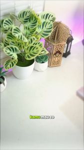 PROMO BUNDLING Alquran Custom Nama A5 + Buku Belajar Anak Metode Hijaiyah | Fitur Lengkap 8 blok warna latin dan tajwid berwarna