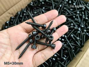 สกรูเกลียวปล่อยเกลียวใหญ่ M5x30mm (ราคาต่อแพ็คจำนวน 50 ตัว) เบอร์ #8ขนาด M5x30mm สกรูเกลียวปล่อยหัวหกเหลียมดำ แข็งแรงได้มาตรฐาน