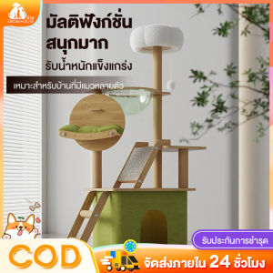 6in1 คอนโดแมว บ้านแมว คอนโดแมวไม้ บันไดและกล่องนอน เสาลับเล็บ ตกแต่งบ้านสวย 150cm