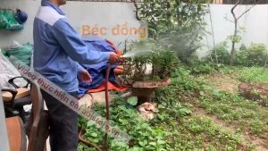 Đầu vòi xịt rửa xe tưới cây tăng áp bép tưới cây bằng đồng béc rửa xe xoay có chỉnh hàng đẹp béc 17 Bảo Hành 1 Đổi 1 Đầu Vòi Xịt - Lazada