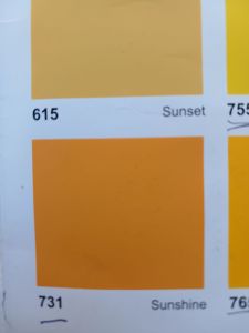 cat tembok dinding avitex 1 kg avian brand