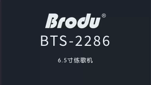 NEW BTS-2286 Bluetooth speaker with cool light  portable and suitable for outdoor square dancing